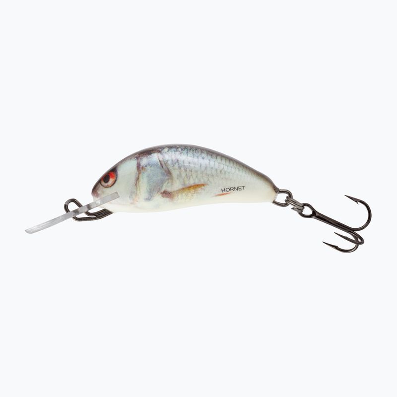 Salmo Hornet FLO, vero e proprio trampoliere per laschettoni.