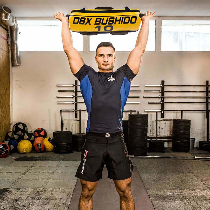Sacco di alimentazione DBX BUSHIDO 10 kg giallo Pb10 6