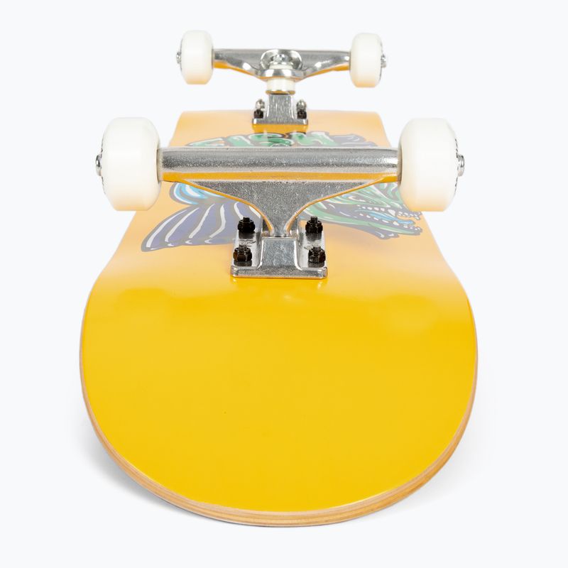 Fish Skateboards Mason Beginner 8.0" classico skateboard 5