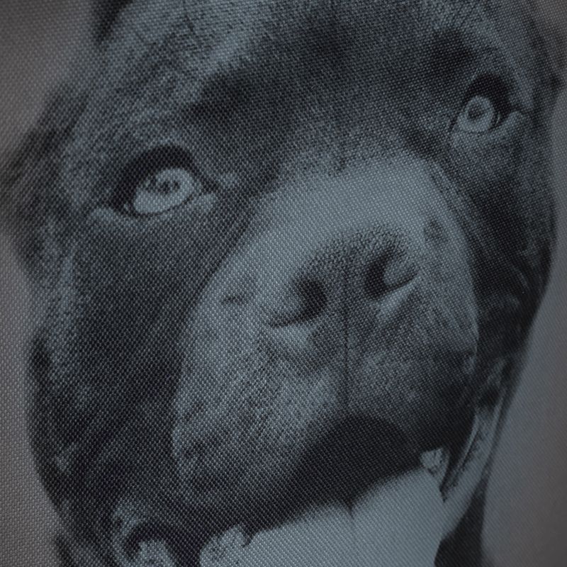 Zaino Pitbull West Coast da uomo Pitbull Ir 28 l nero/grigio 12