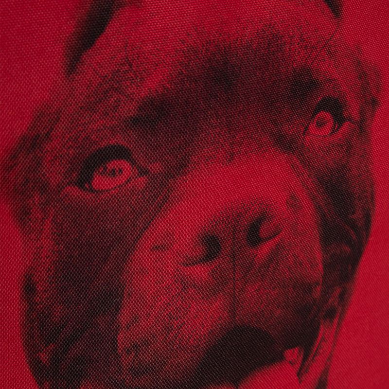 Zaino Pitbull West Coast da uomo Pitbull Ir 28 l nero/rosso 13