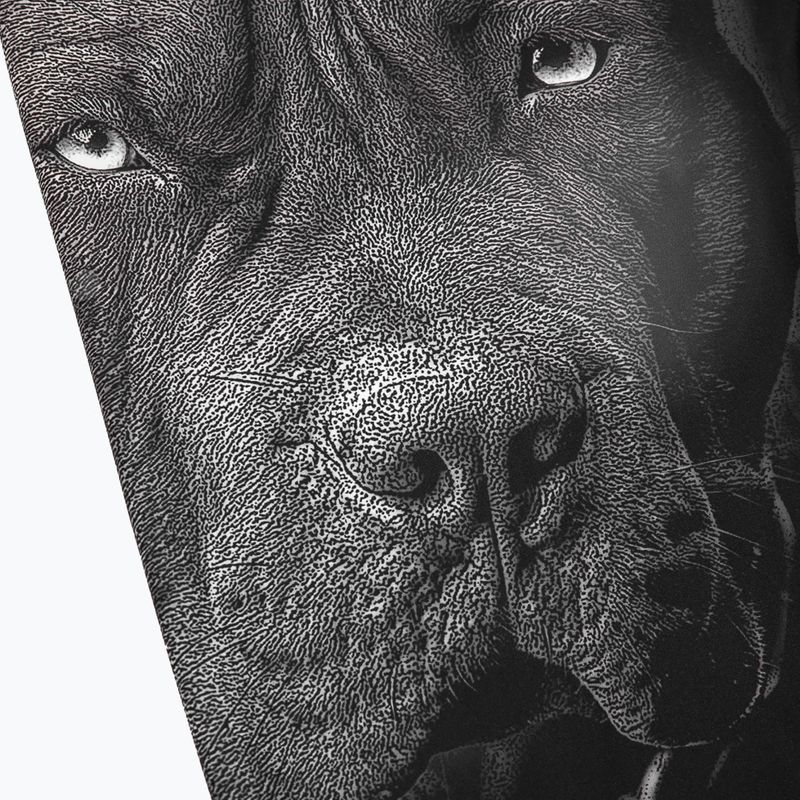 Leggings Pitbull West Coast da uomo Born in 1989 nero 3