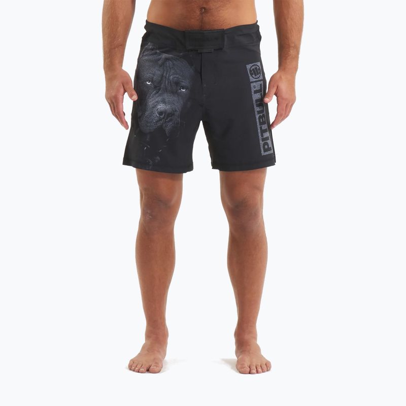 Pantaloncini da grappling Pitbull West Coast da uomo Grappling 3 Born in 1989 nero