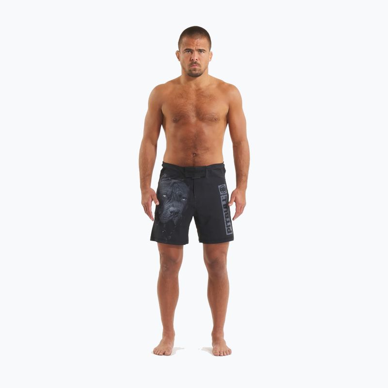 Pantaloncini da grappling Pitbull West Coast da uomo Grappling 3 Born in 1989 nero 2