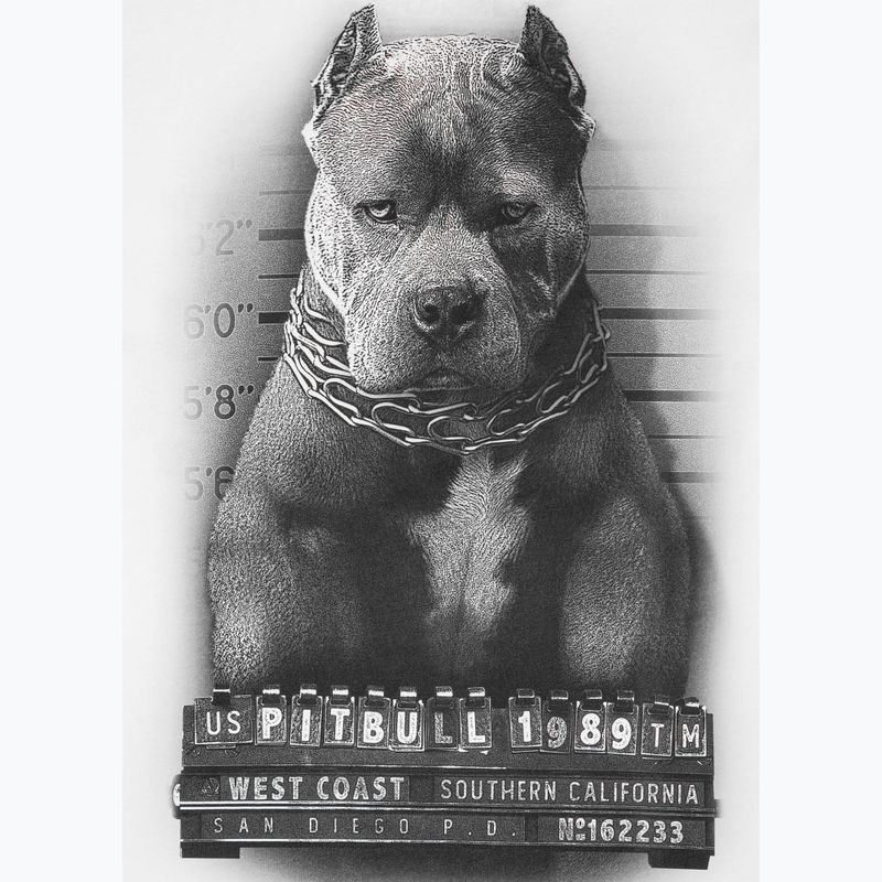 Maglietta Pitbull West Coast Mugshot 2 bianca da uomo 8