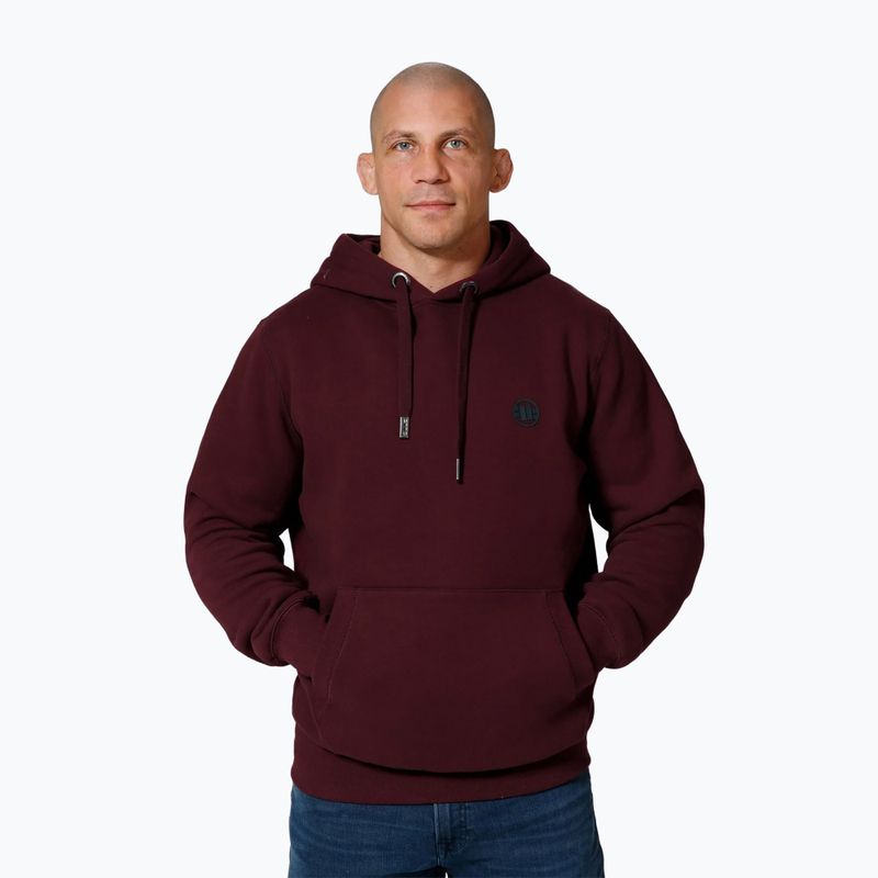 Felpa da uomo con cappuccio Pitbull Small Logo bordeaux