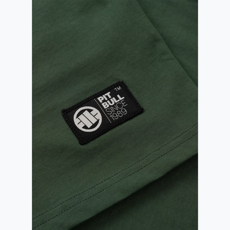 Maglietta Pitbull Small Logo uomo verde 12