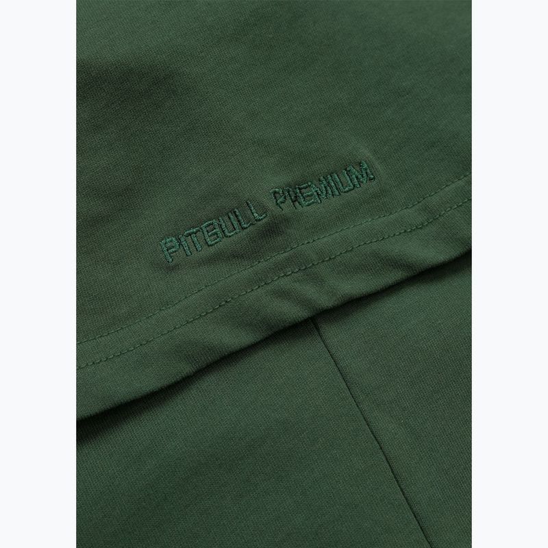 Maglietta da uomo Pitbull Scratch verde 11