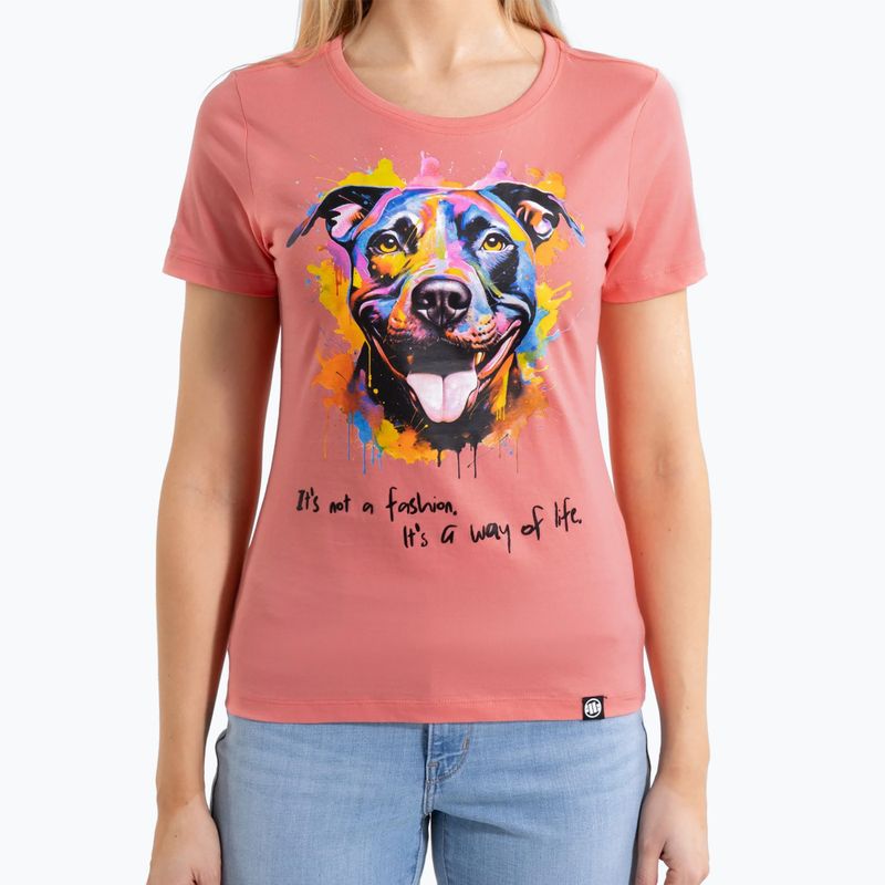 Maglietta Pitbull donna Acquerello corallo 4