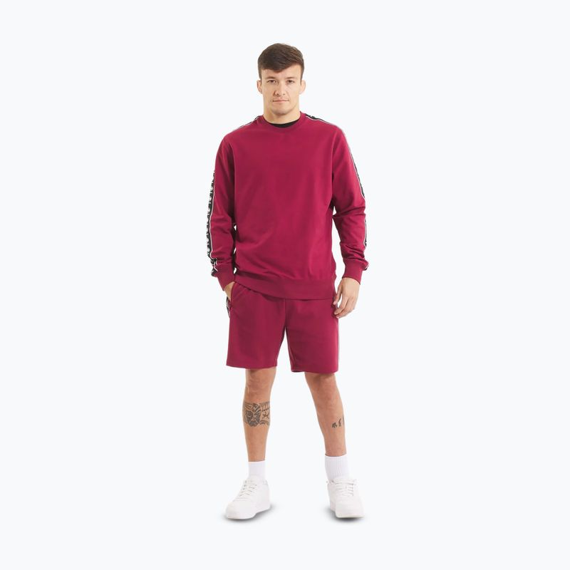 Pitbull Tape Nugget Crewneck Felpa da uomo bordeaux 2