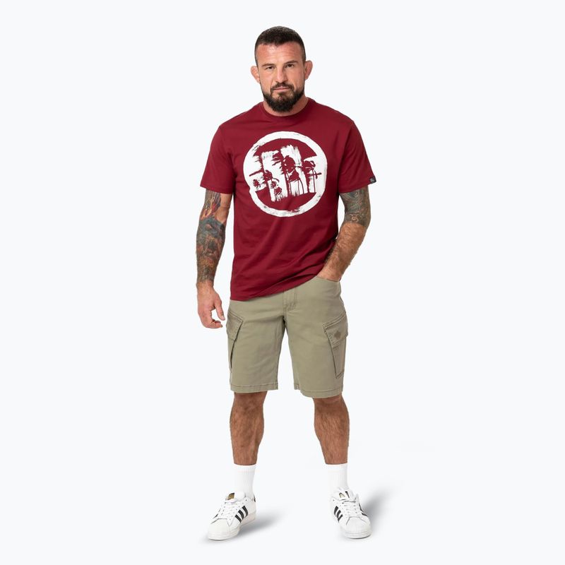 Maglietta Pitbull Logo Palms uomo bordeaux 2