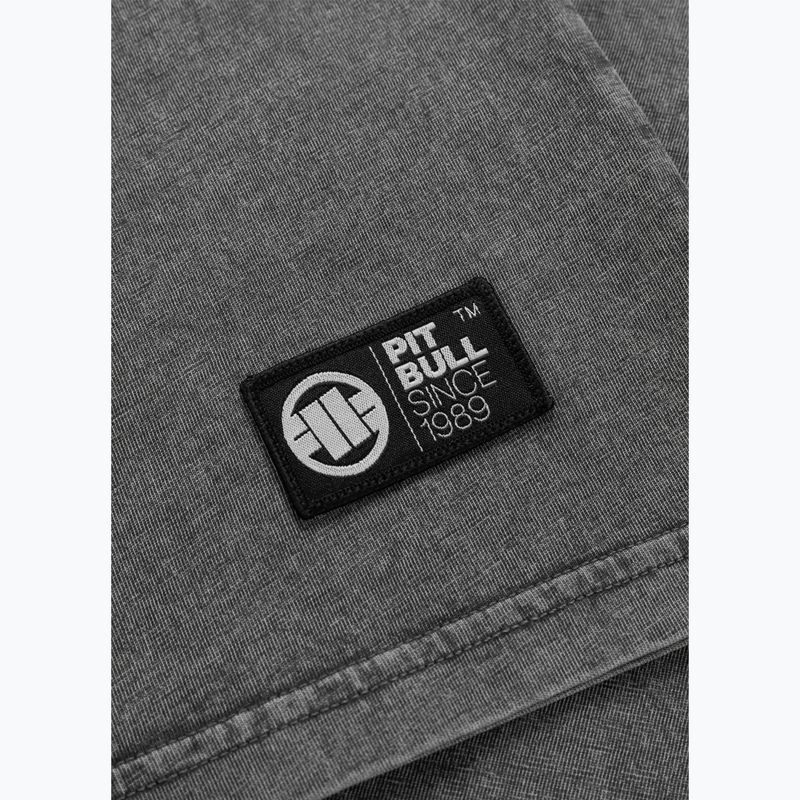 Pitbull Mt. Fuji - Maglietta da uomo grigio lavato 8