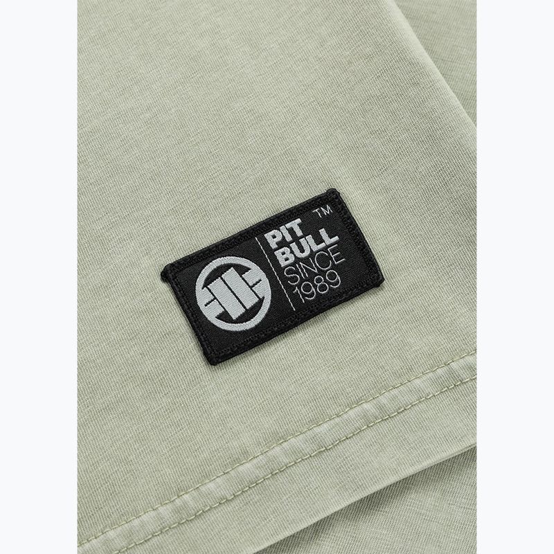 Maglietta da uomo Pitbull Planet Surf dusty salvia 10