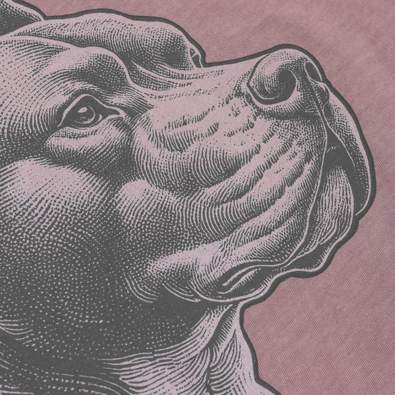 Maglietta Pitbull pacific dusty bordeaux da uomo 6