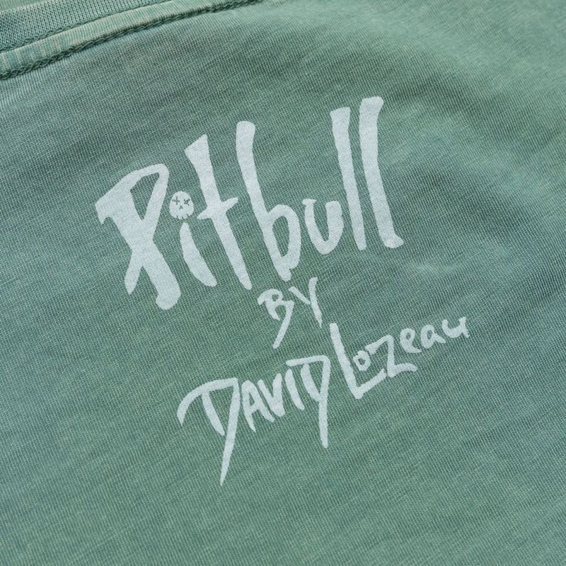 Maglietta da donna Pitbull Cruisinandboozin menta 7