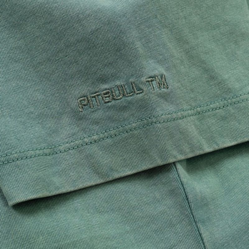 Maglietta da donna Pitbull Cruisinandboozin menta 8