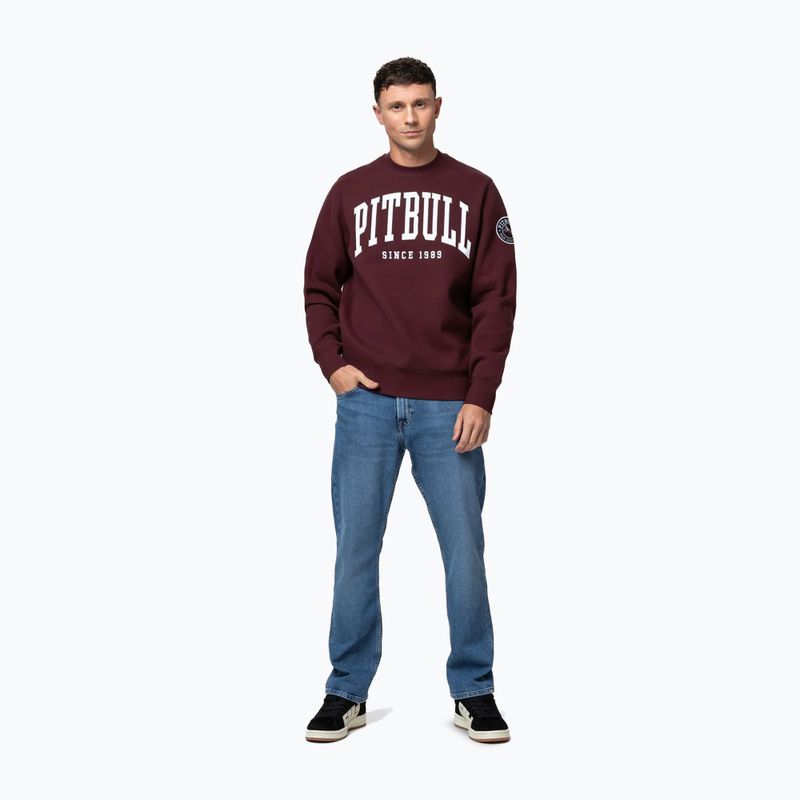 Felpa uomo Pitbull Norton Crewneck dark burgundy 2