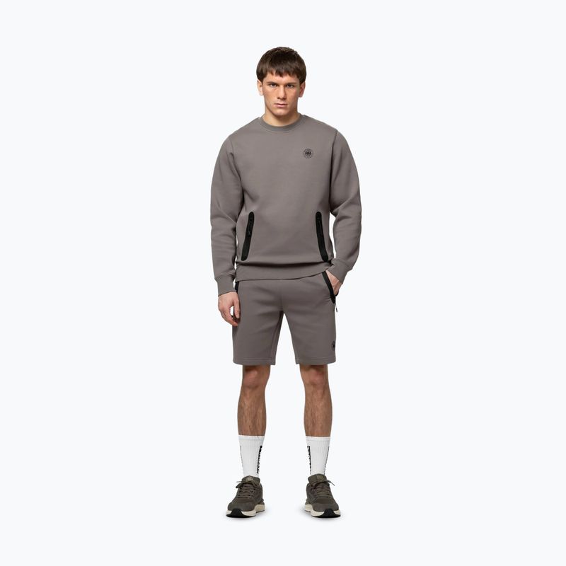 Felpa da uomo Pitbull Dogwood Crewneck Sweatshirt taupe 2