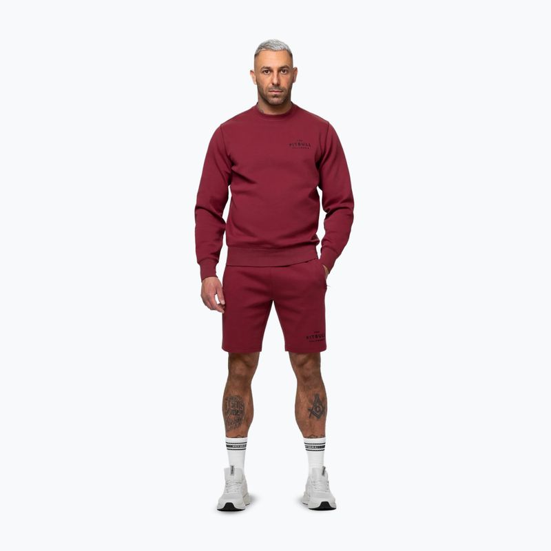 Felpa da uomo Pitbull Sampson Crewneck Sweatshirt burgundy 2