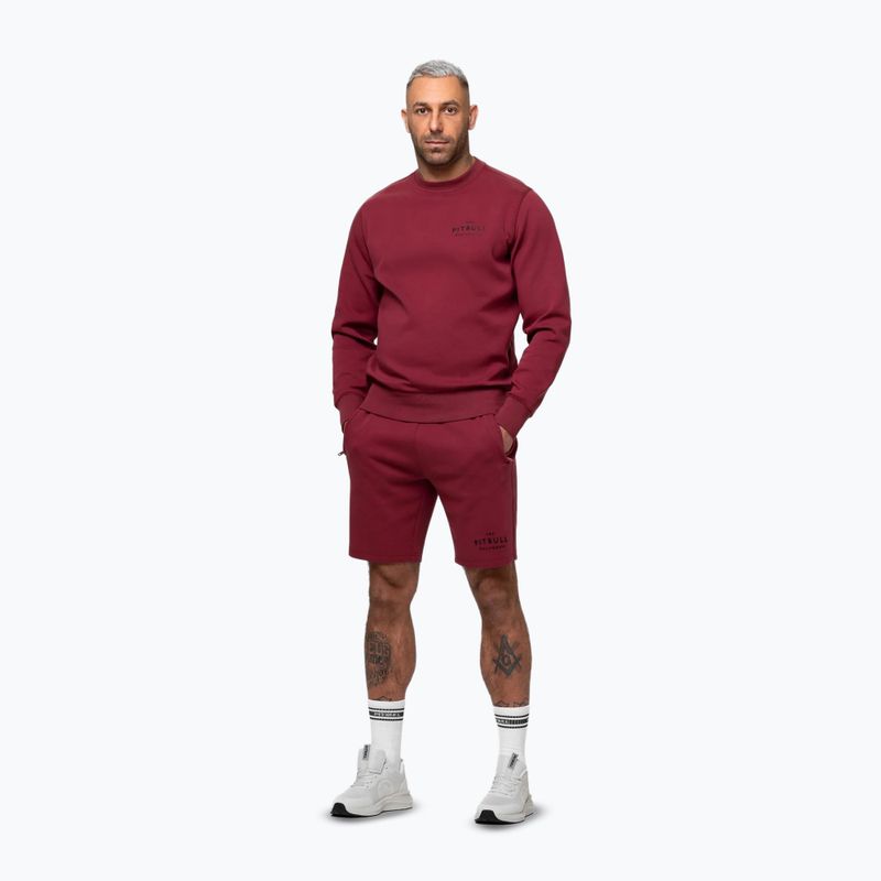 Felpa da uomo Pitbull Sampson Crewneck Sweatshirt burgundy 4