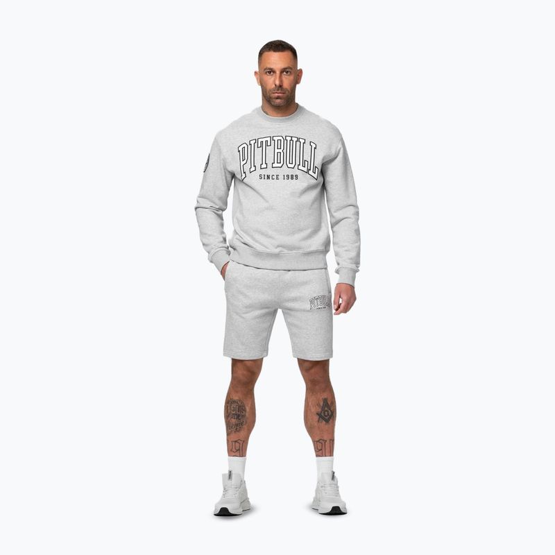 Felpa da uomo Pitbull Badger Crewneck grey/melange 2