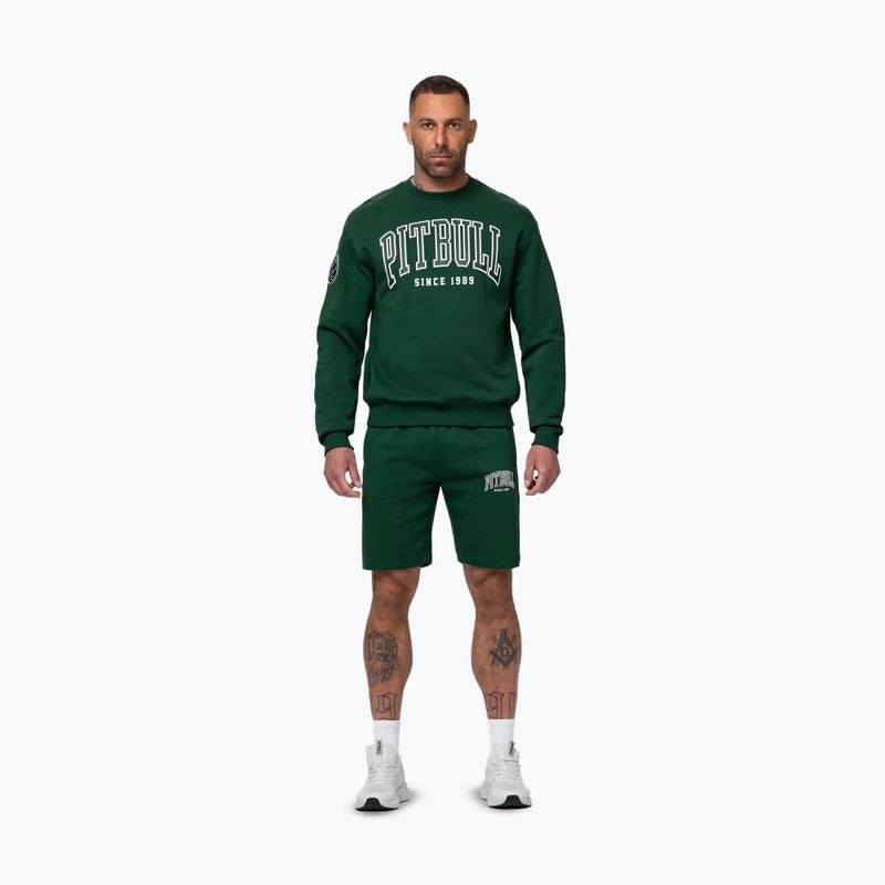 Felpa da uomo Pitbull Badger Crewneck hunter/green 2