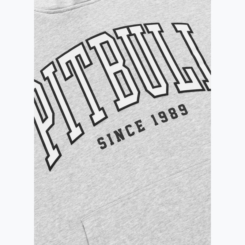 Felpa da uomo Pitbull Badger Hooded grey/melange 9