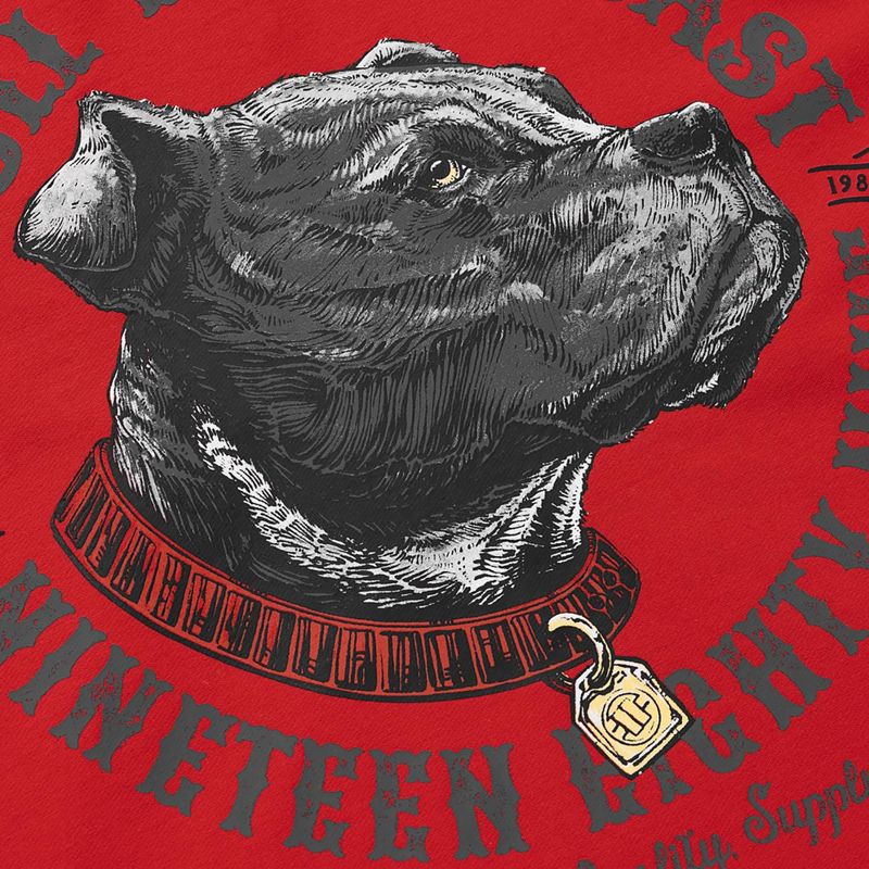 Felpa da uomo Pitbull Strenght & Respect Sweatshirt Hooded red 9