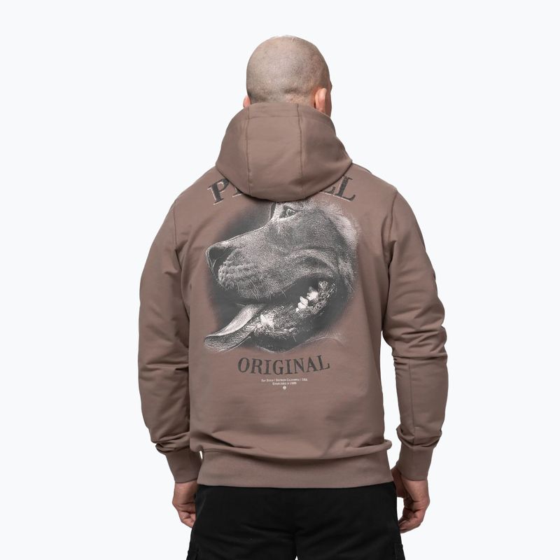 Felpa da uomo Pitbull Midnight Sweatshirt Hooded brown savana 3