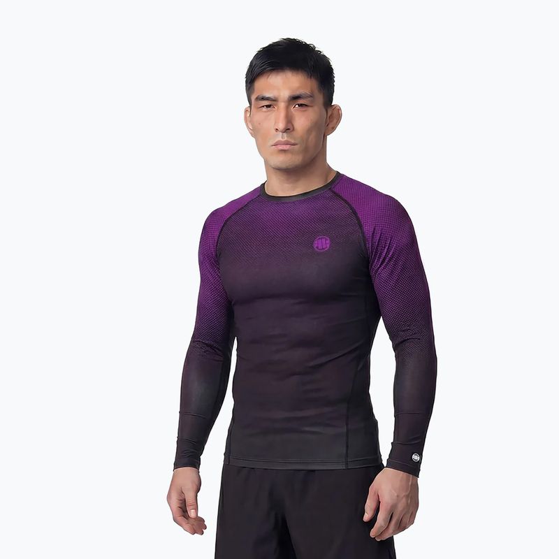 Rashguard a maniche lunghe da uomo Pitbull Belt Rashguard purple