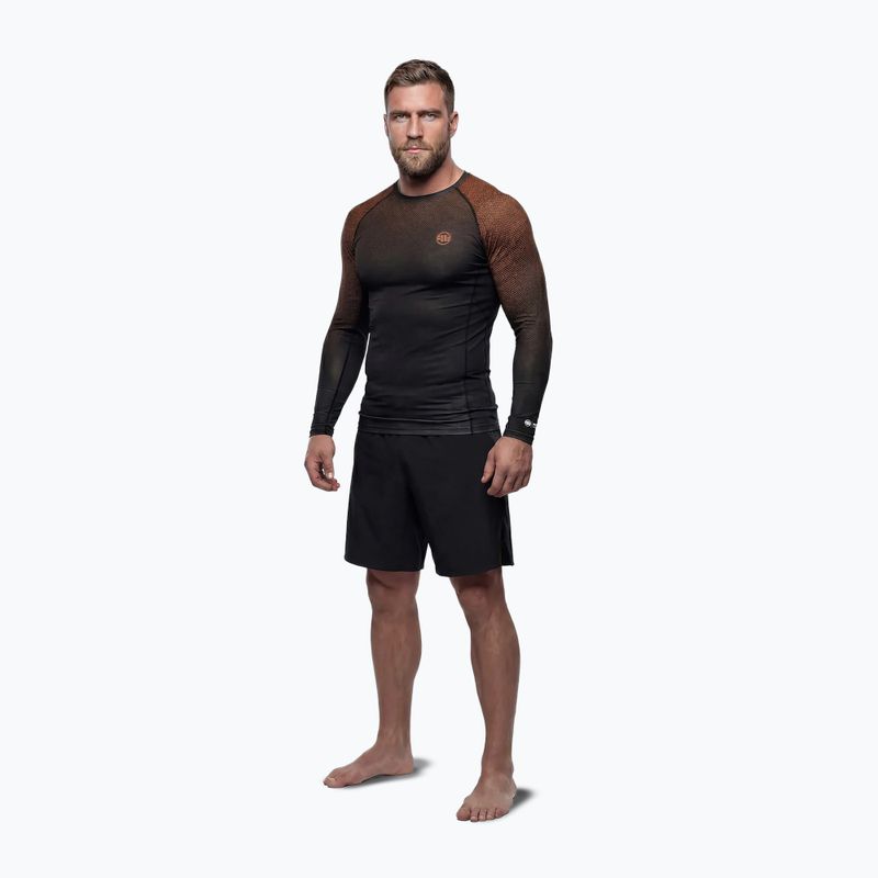Rashguard a maniche lunghe da uomo Pitbull Belt Rashguard brown 2