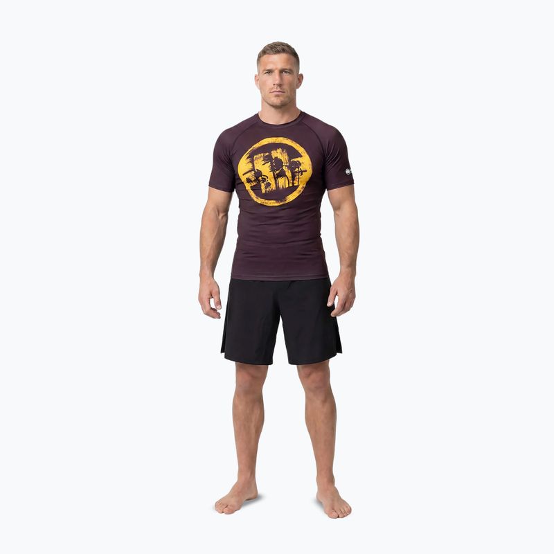 T-shirt da uomo Pitbull Rashguard Logo Palms brown 2