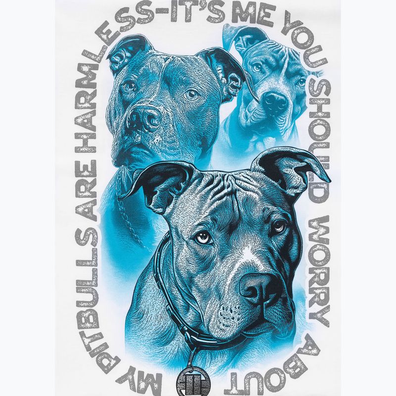 T-shirt da uomo Pitbull Protector white 11