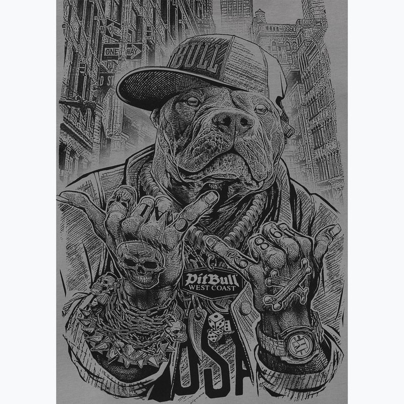 T-shirt da uomo Pitbull Avenue grey 5