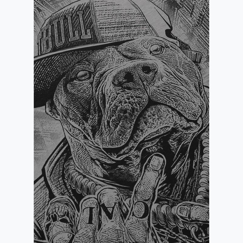 T-shirt da uomo Pitbull Avenue grey 6