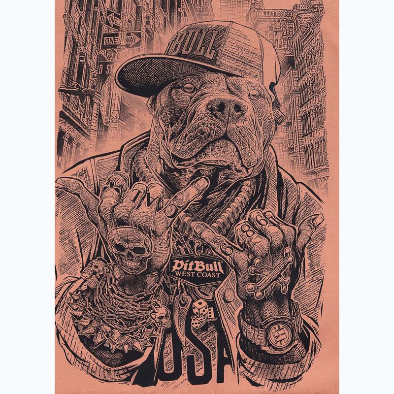 T-shirt da uomo Pitbull Avenue pale salmon 5