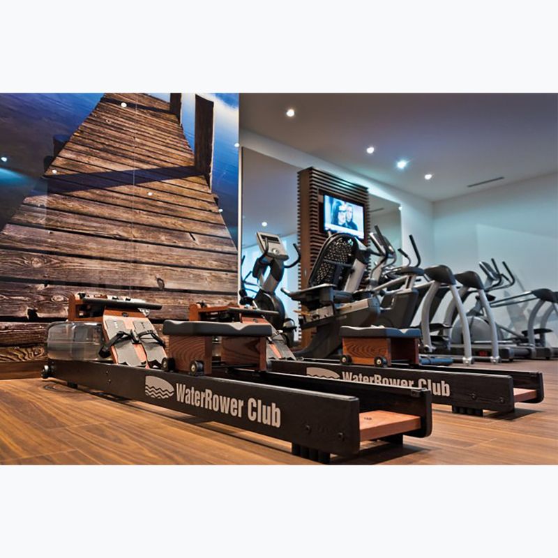 Vogatore WaterRower Performance SR Club Ash 15