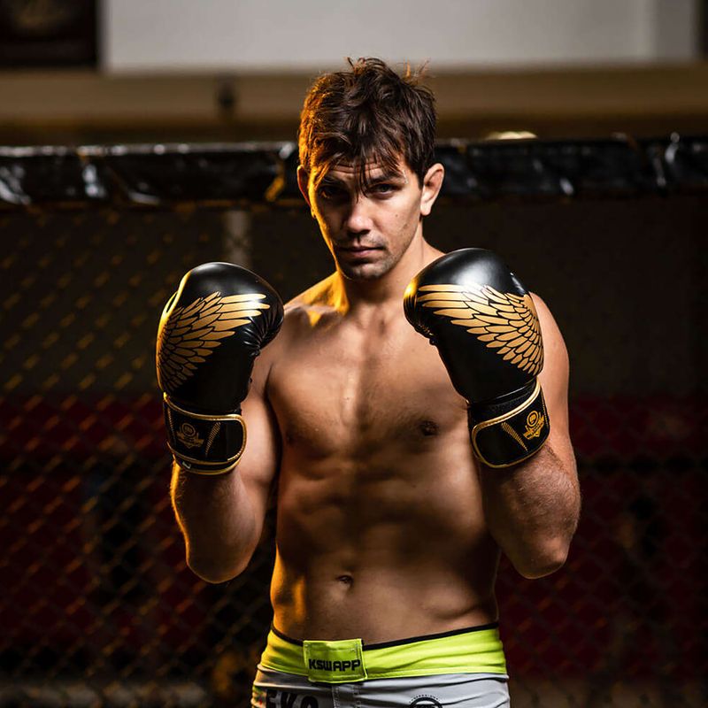 Guanti da boxe DBX BUSHIDO "HAWK Active Clima nero e oro B-2v17 13