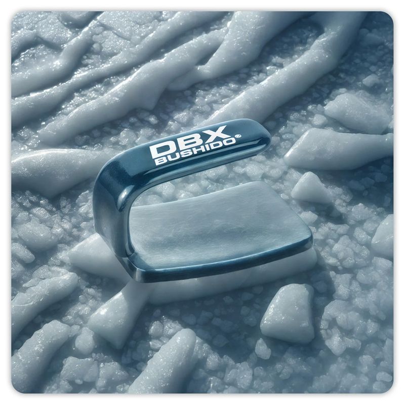 Ferro da boxe DBX BUSHIDO Ferro black/silver 7