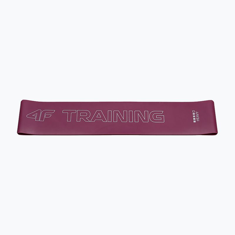 Fasce per esercizi 4F U033 multicolore 4