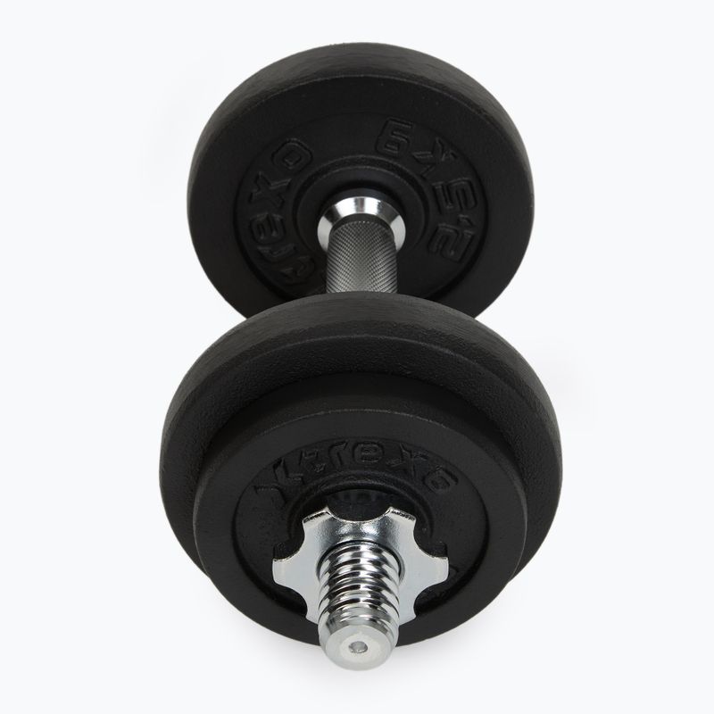 XTREXO DK20 Set di manubri da 20 kg 2