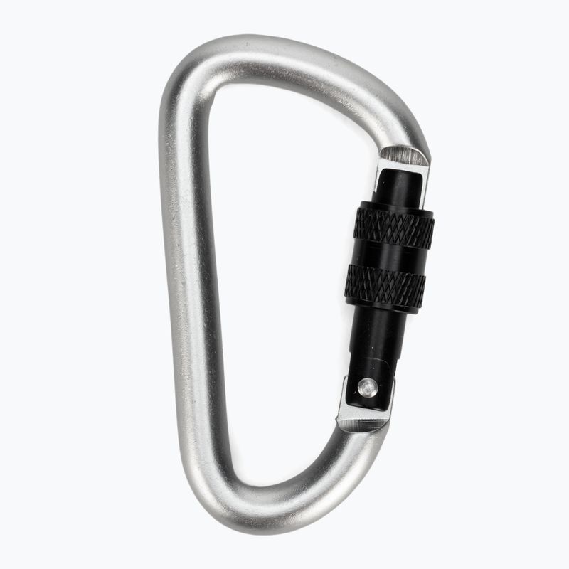 Salewa Carbiner a forma di D con vite grigio 2
