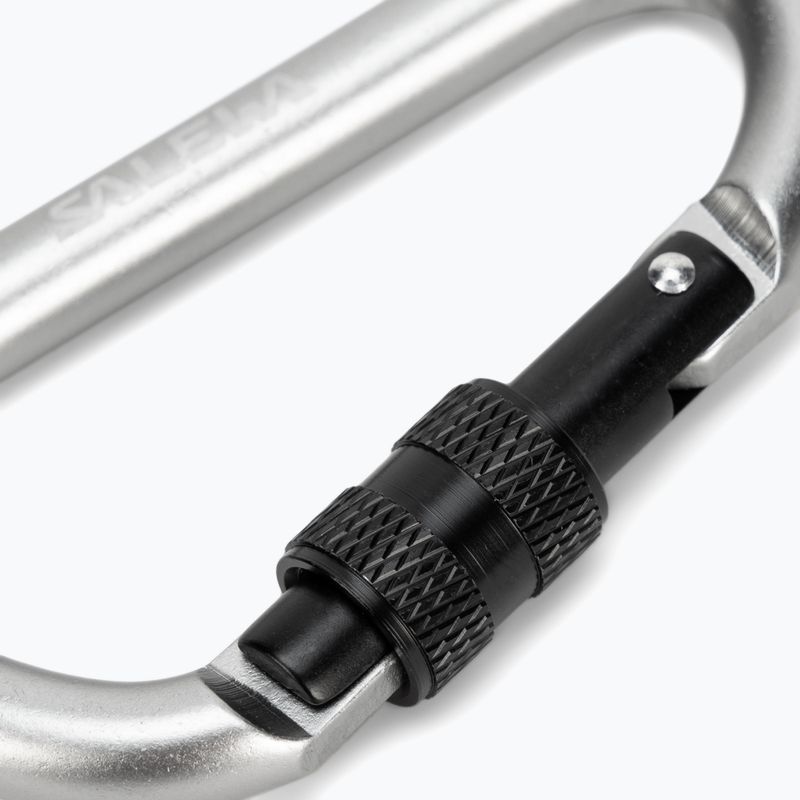 Salewa Carbiner a forma di D con vite grigio 3