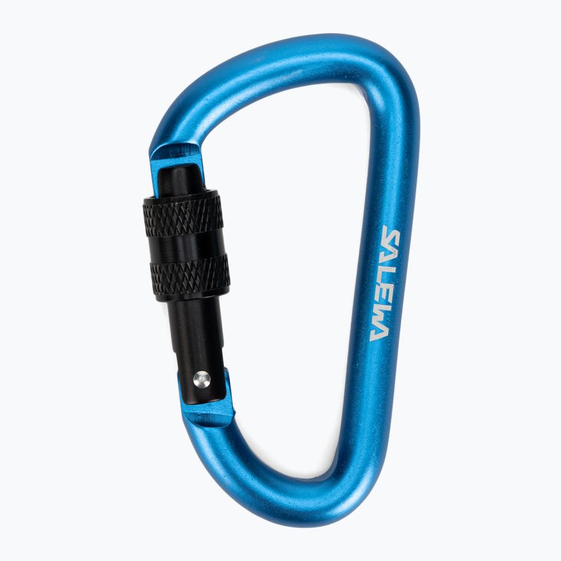 Salewa Carbiner a forma di D con vite blu