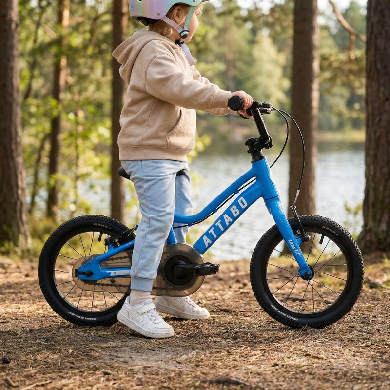 Bicicletta da bambino ATTABO EASE 14" blu 6