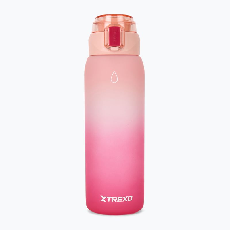 Borraccia TREXO Haust 1000 ml pink