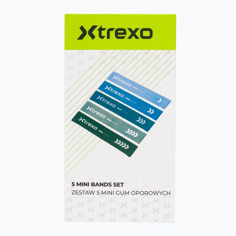 Set di bande elastiche per allenamento  XTREXO 5 Mini Power Band resistance band 5 pcs. multicolor 5