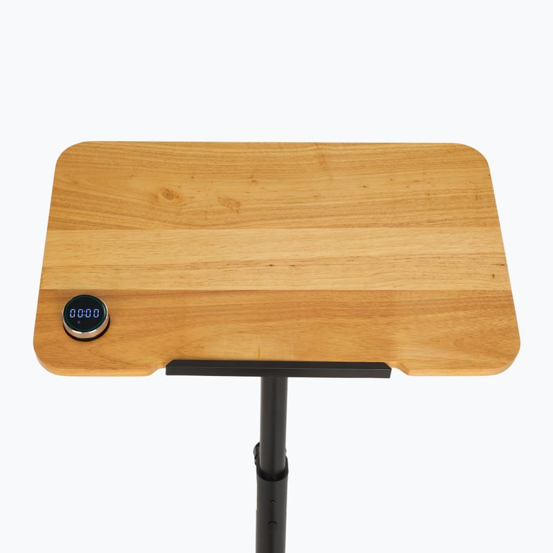 E-bike XTREXO EB400-desk black 5