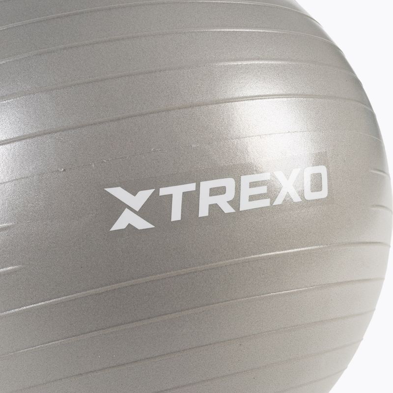 TREXO Gymball TXO-B4Z007-GY 55 cm grigio 6