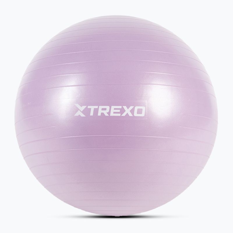 Palla da ginnastica XTREXO TXO-B4Z008-VT 65 cm viola